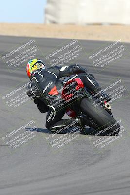 media/Feb-04-2023-SoCal Trackdays (Sat) [[8a776bf2c3]]/Turn 10 Backside (1010am)/